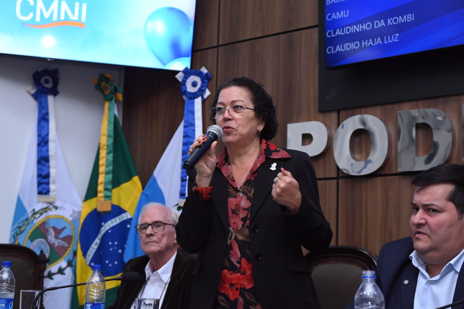 Dra Cida Diogo, representante do Ministério da Saúde